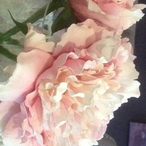 Meet your Posher, Lucia